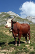 Foto: L'Abondance L'Abondance