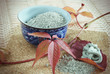 Porcelain drinking bowl with powder of clay and prepared mixture