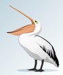 Pelican