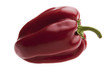 Papryka