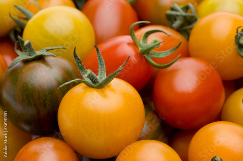 Photo: Bunte Tomaten Bunte Tomaten
