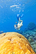 Diver
