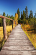 Wooden walkway through wetlands and forest