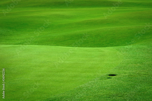 Photo: Detail of golf field with a ball hole Detail of golf field with a ball hole