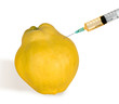 Analysis of Quince