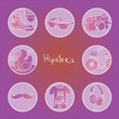 Hipster theme icon set