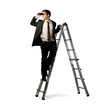 Job search