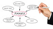 Presentation of structure of taxation