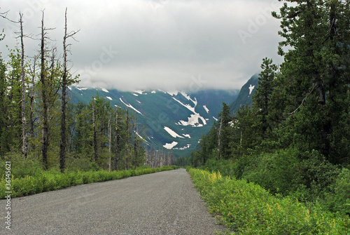 Photo: Road Heading into the Wilderness Road Heading into the Wilderness