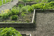 herb garden detail