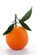 Mandarancio
