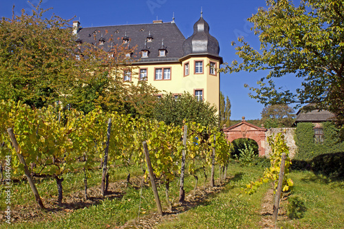 Photo: Schloss Vollrads im Rheingau mit Weinstöcken (Hessen) Schloss Vollrads im Rheingau mit Weinstöcken (Hessen)