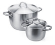 Two stainless steel pots