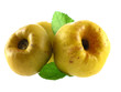 Photo: quince quince