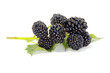 blackberry