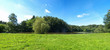 Green panorama near the lake