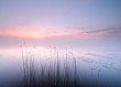 Foto: Peaceful Peaceful