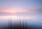 Peaceful - Fine Art prints