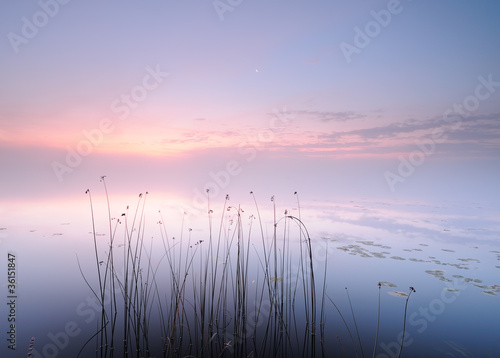 Photo: Peaceful Peaceful
