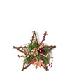 Star shape Christmas wreath Star shape Christmas wreath