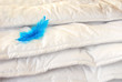 White duvet