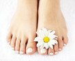 Photo en ligne au meilleur prix Female feet with pedicure