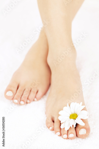 Photo: Female feet with pedicure Female feet with pedicure