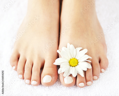 Photo: Female feet with pedicure Female feet with pedicure