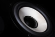 Image of speaker