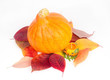 Foto: Orange pumpkin on a white background Orange pumpkin on a white background