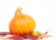 Foto: Orange pumpkin on a white background Orange pumpkin on a white background