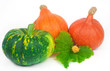 Green and orange pumpkins with autumn sheets and colors