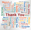 Merci - Thank you - Danke - Grazie - Gracias / Nuage de Mots