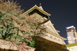Castle in Japan 桜の咲く小倉城と高層ビル