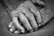 old woman hands