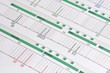 DNA Profil - genetischer Fingerabdruck