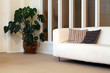 Foto: Bright, Fresh and Contemporary Waiting Room or Living Room Bright, Fresh and Contemporary Waiting Room or Living Room