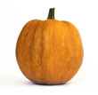 Fresh pumpkin on white background