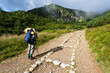 Backpacker girl exploring the mountains.