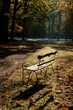 Foto: fall landscape fall landscape