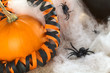 Halloween decoration: pumpkin, spider, spider web