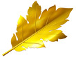 Akanthusblatt, akanthus leaf