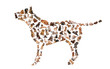 silhouette of a dog