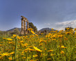 Delphi Greece
