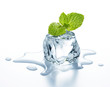 ice cube
