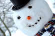 Schneemann