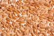 Photo: getreide weizen getreide weizen