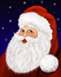 Weihnachtsmann Portrait
