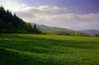 waldlichtung im herbst herbstlicht