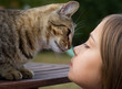 chatte bienveillante